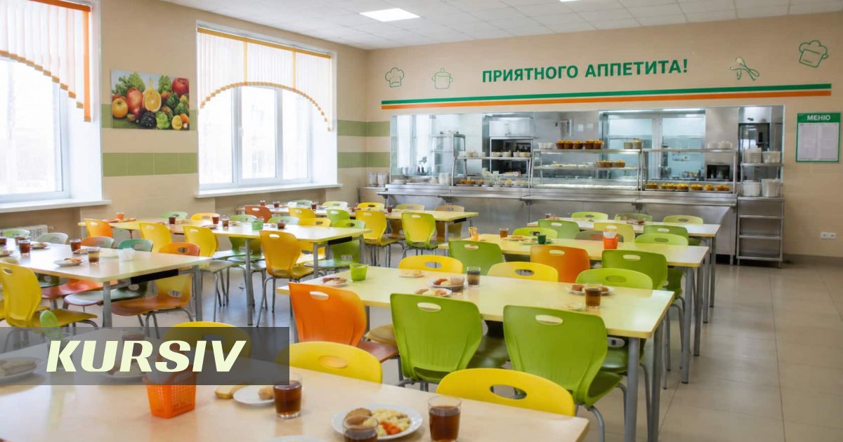 Суд выявил поддельных поваров на конкурсе школьного питания в Акмолинской области