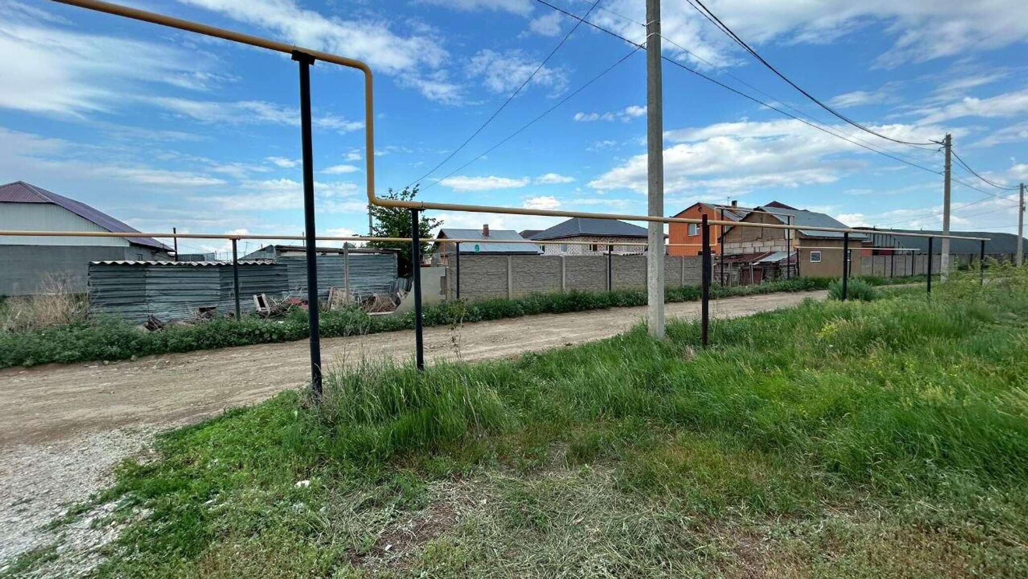В Акмолинской области лошадь затоптала трехлетнего ребенка