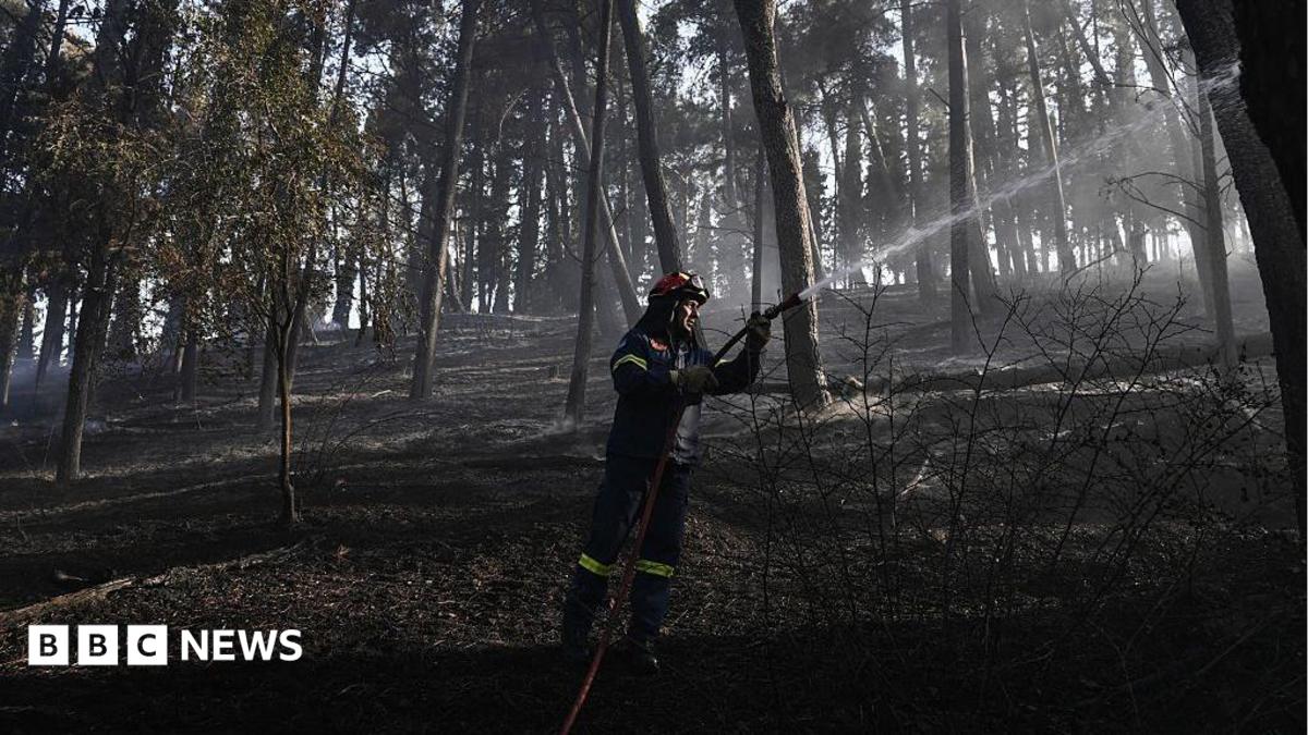 Deadly Greek wildfire claims one life, forces evacuations