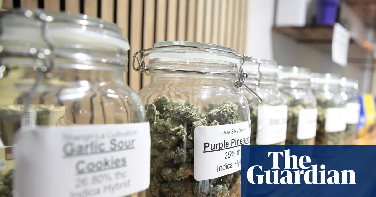 Cannabis commercialisation, not decriminalisation, drives up usage, study finds