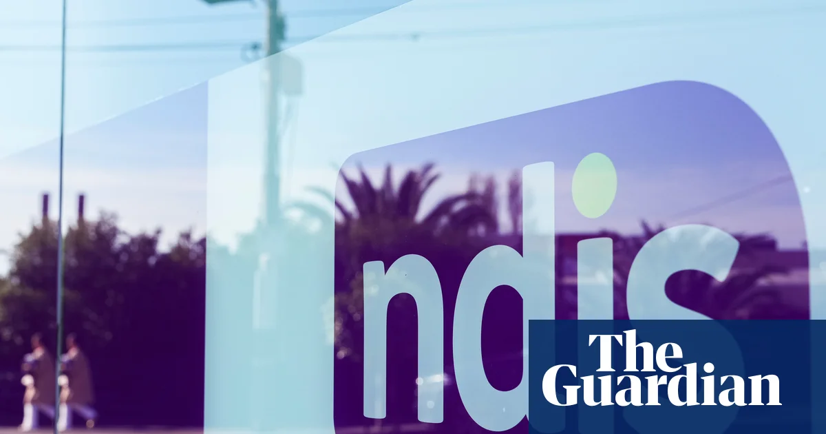 NDIS реформалары «регрессивті» және шолумен сәйкес келмейді — депутаттар