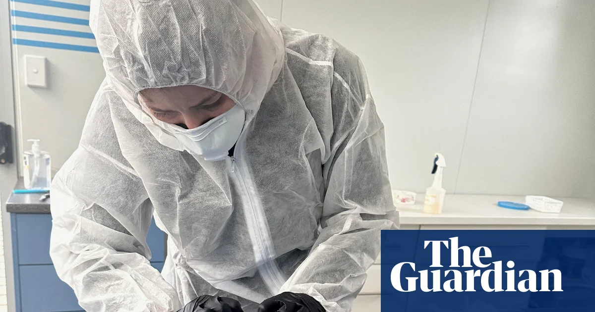 Bird flu confirmed in South Australia as H5N1 cases reach three