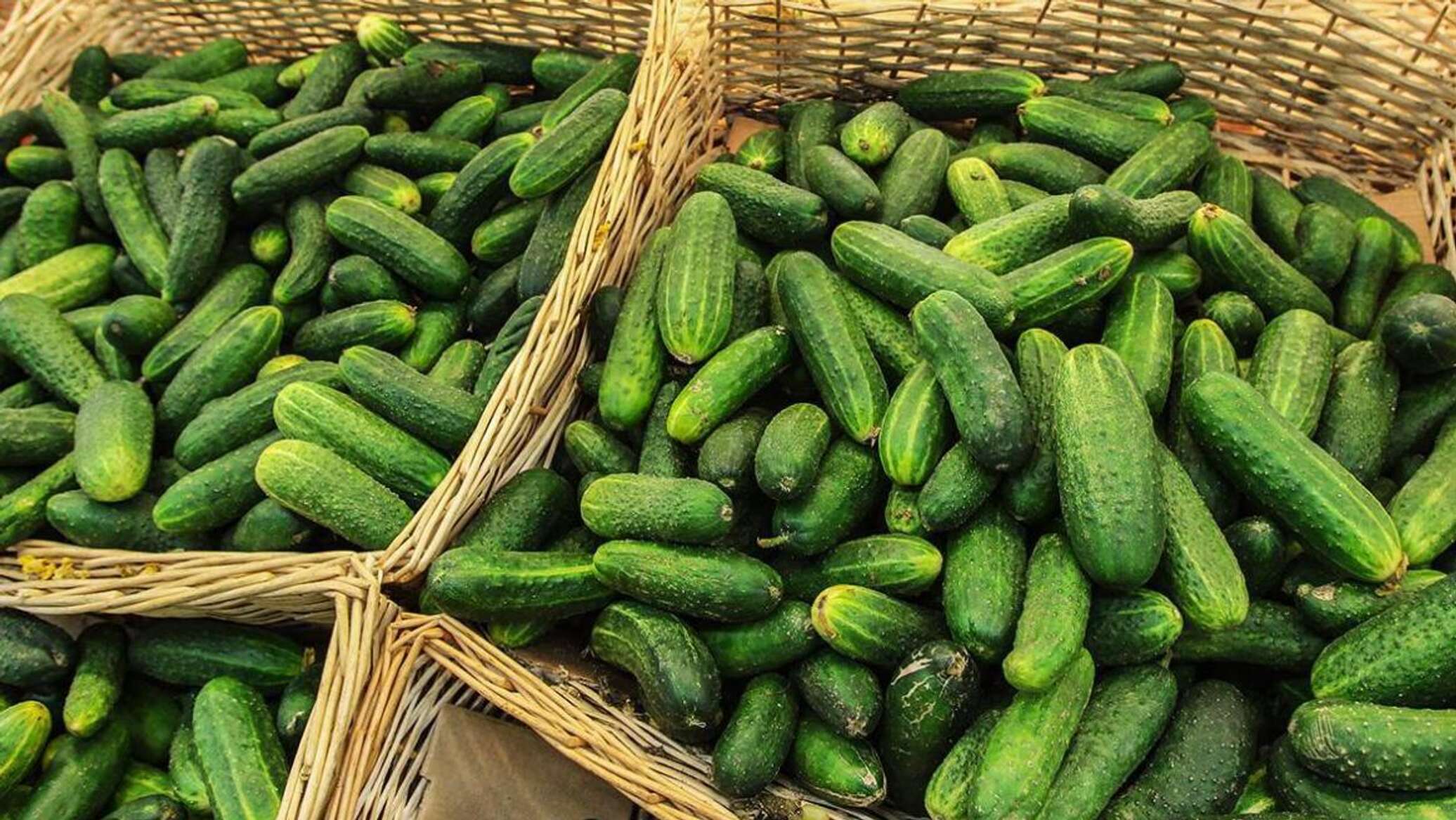 6 tons of cucumbers from Russia returned back