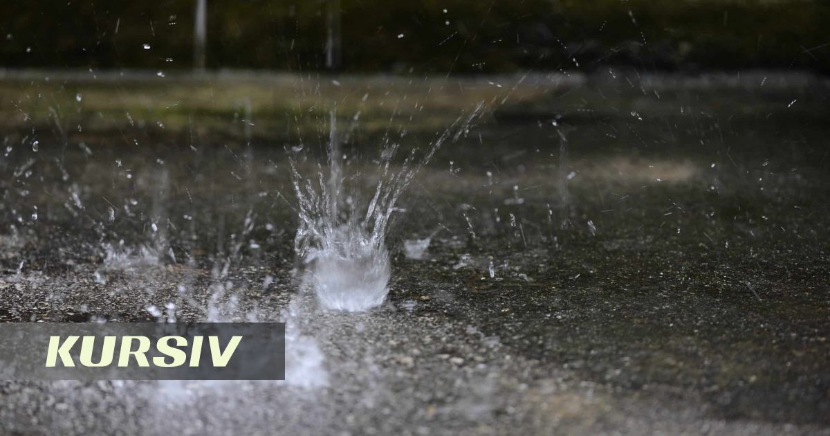 Семейдегі нөсер мен бұршақтың салдары жойылуда