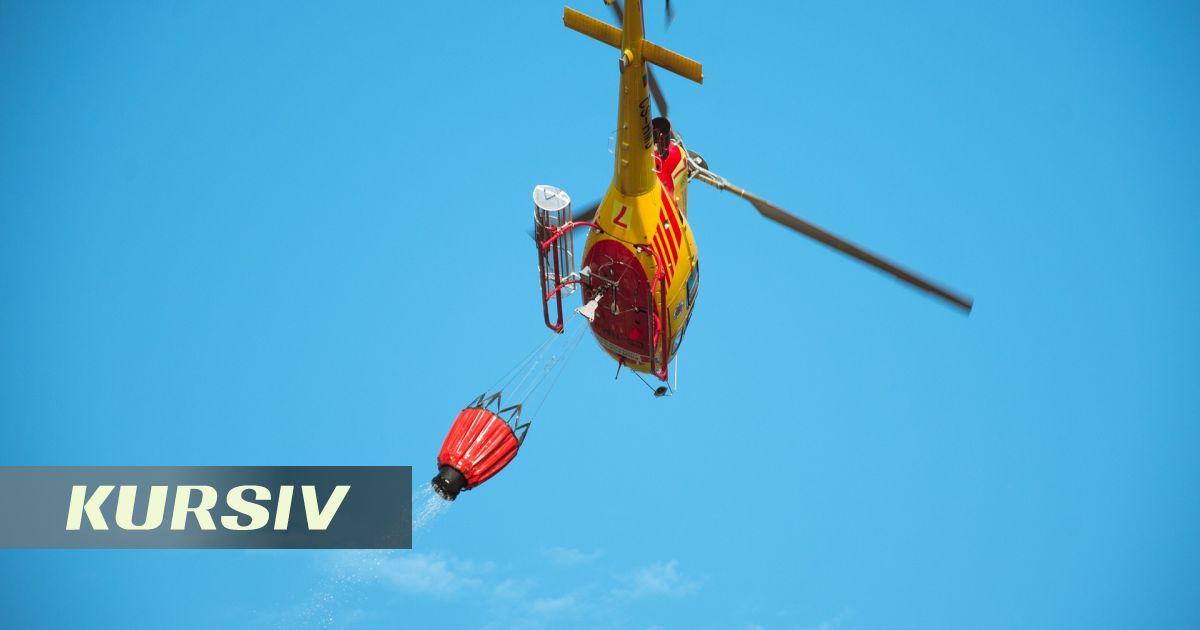Лесной пожар в ВКО локализован: авиация МЧС сбросила 39 тонн воды