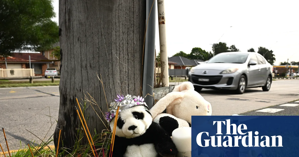 Sydney mother's anguish after children in pram killed by car