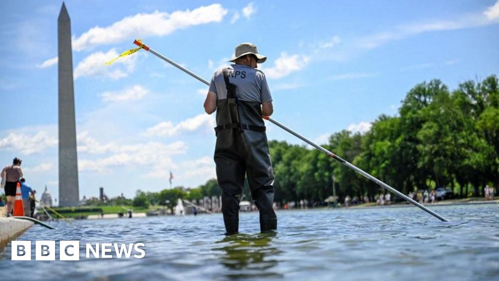 Trump orders immediate repairs to algae-plagued Reflecting Pool in Washington