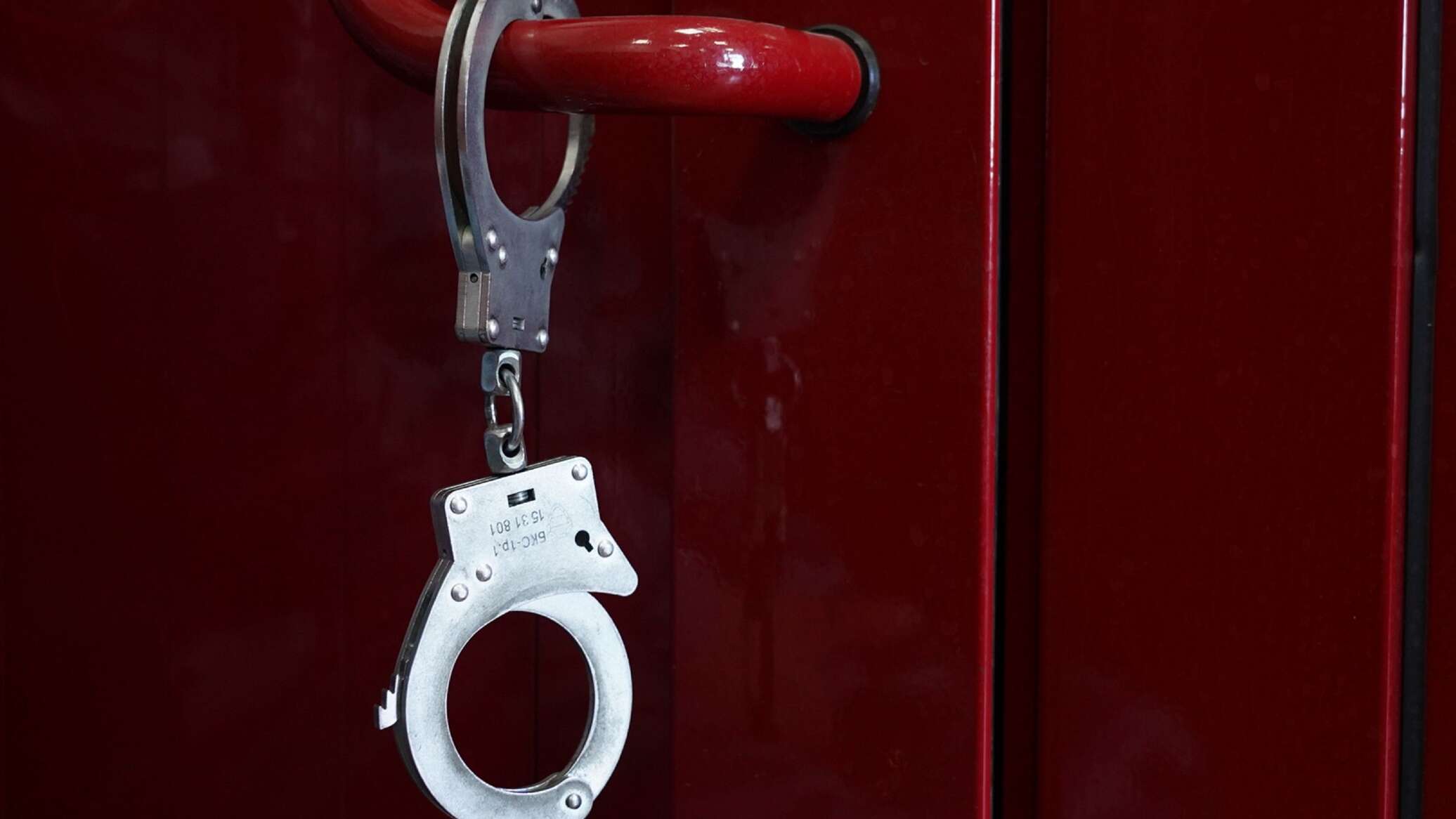 Глава транснациональной преступной группы экстрадирован из Польши