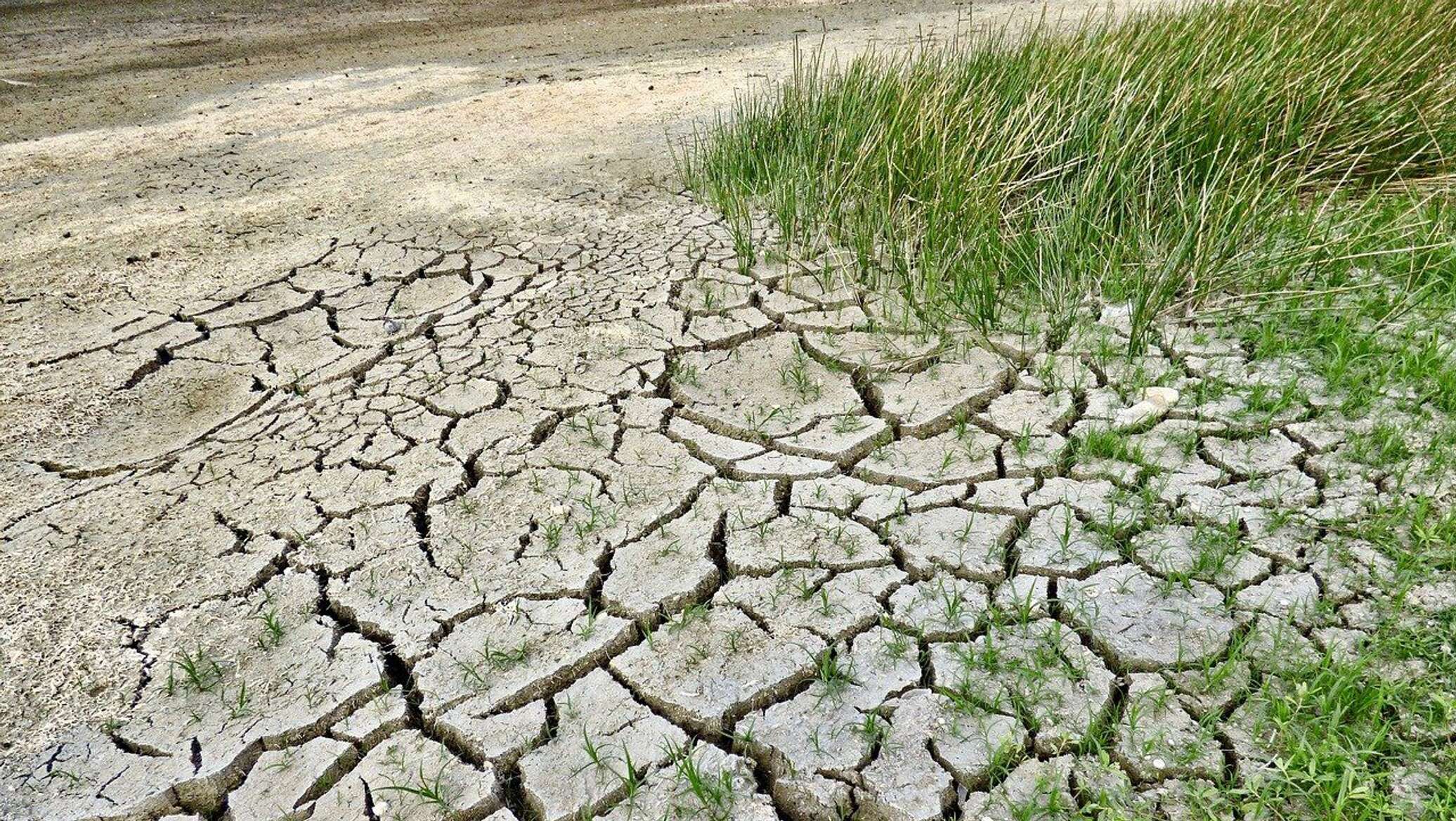 Global temperature may hit record in 2027 due to ocean warming and El Niño - climatologist