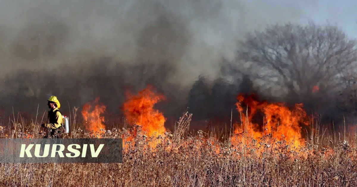 Ақмола облысында сегіз дала өрті сөндірілді
