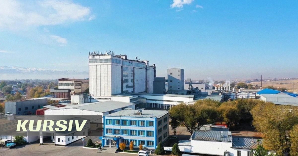 Baiterek's 'granddaughter' buys stake in millionaire's company for 2 billion tenge
