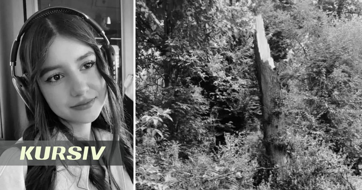 Девушка, на которую упало дерево в роще Баума, умерла спустя две недели в реанимации