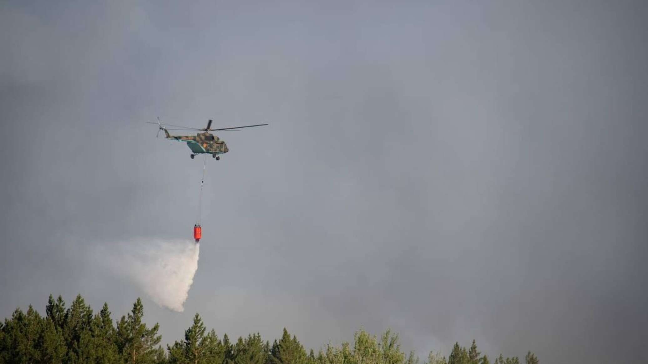Бір күнде 5 орман өрті тіркелді: Қостанай, Павлодар және ұлттық парктер