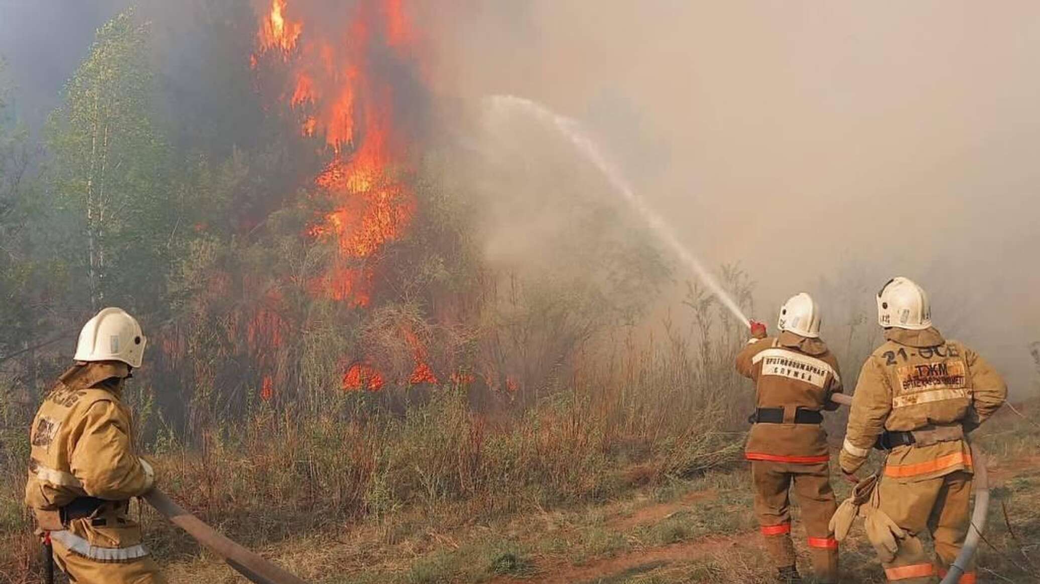 55 forest fires recorded in Kazakhstan in 24 hours