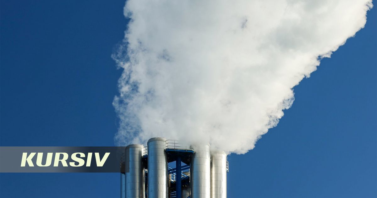 Бишкекскому мусоросжигательному заводу не хватает отходов: их собирают в Чуйской долине