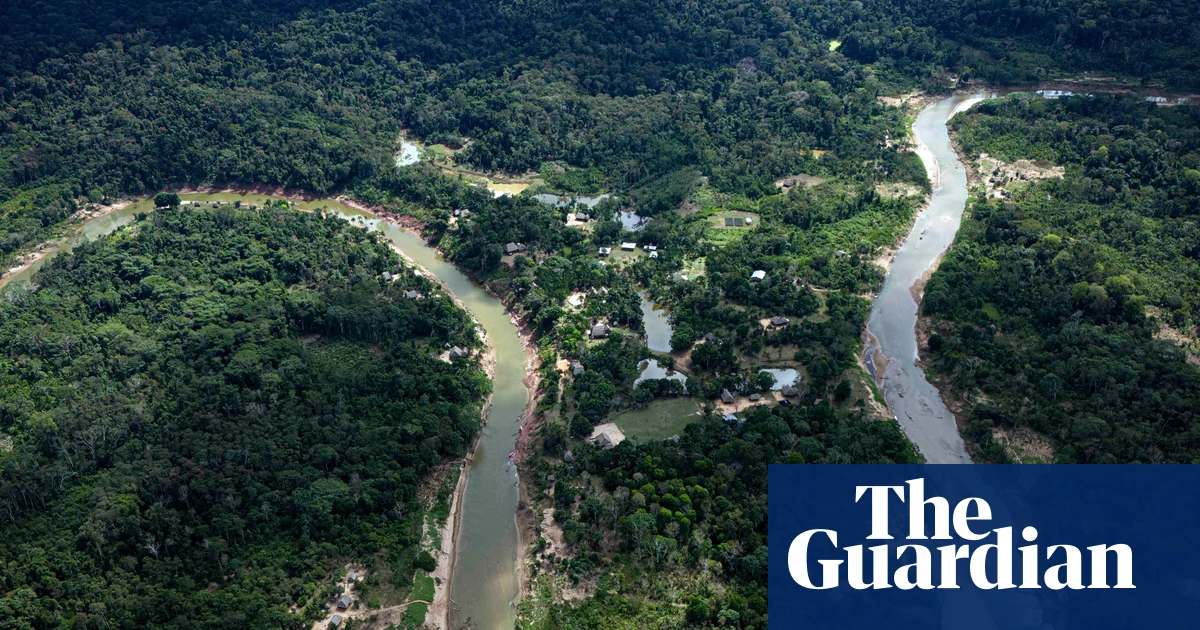 Gangs taking villages on Brazil-Peru border 'hostage', say Indigenous leaders