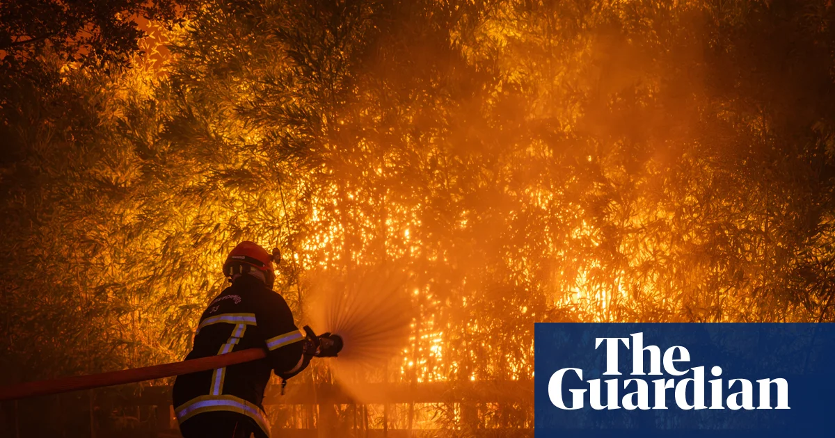 Europe burns: a visual guide to the wildfires in France and Spain