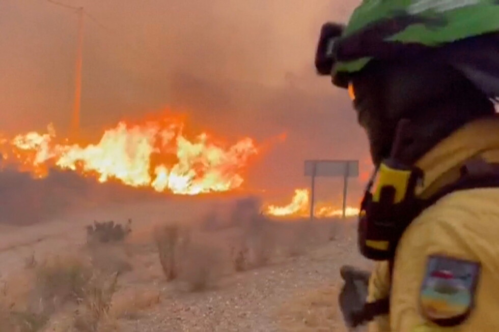 Wildfire in Spain kills 11, one of deadliest on record