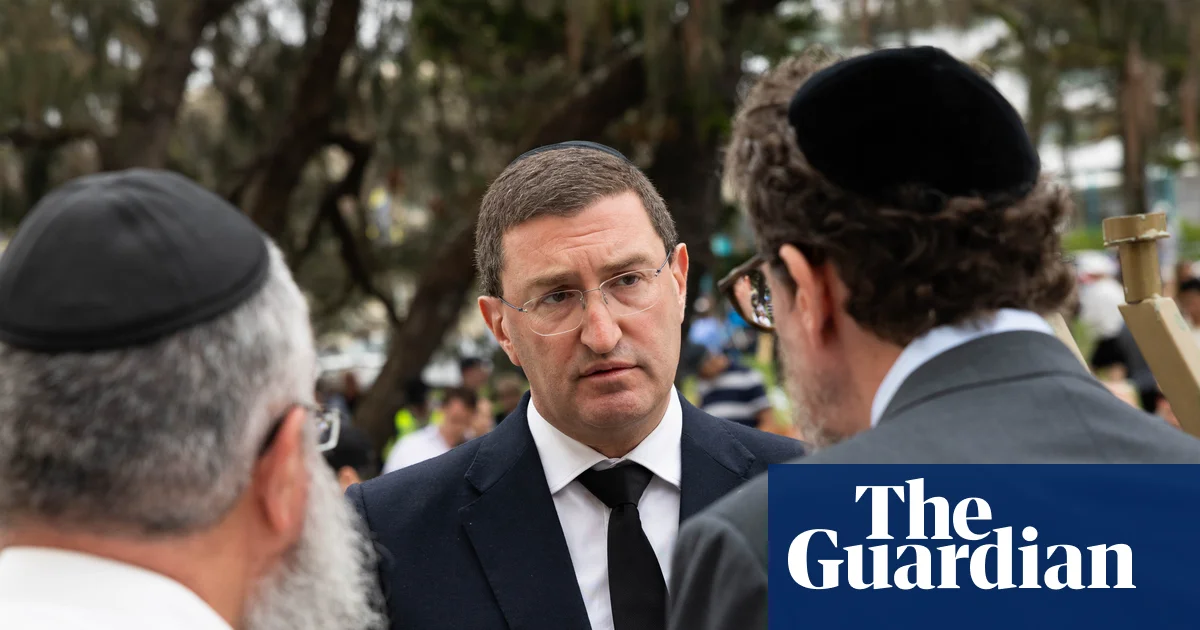 University courses on Israel-Palestine should be audited, Julian Leeser tells royal commission