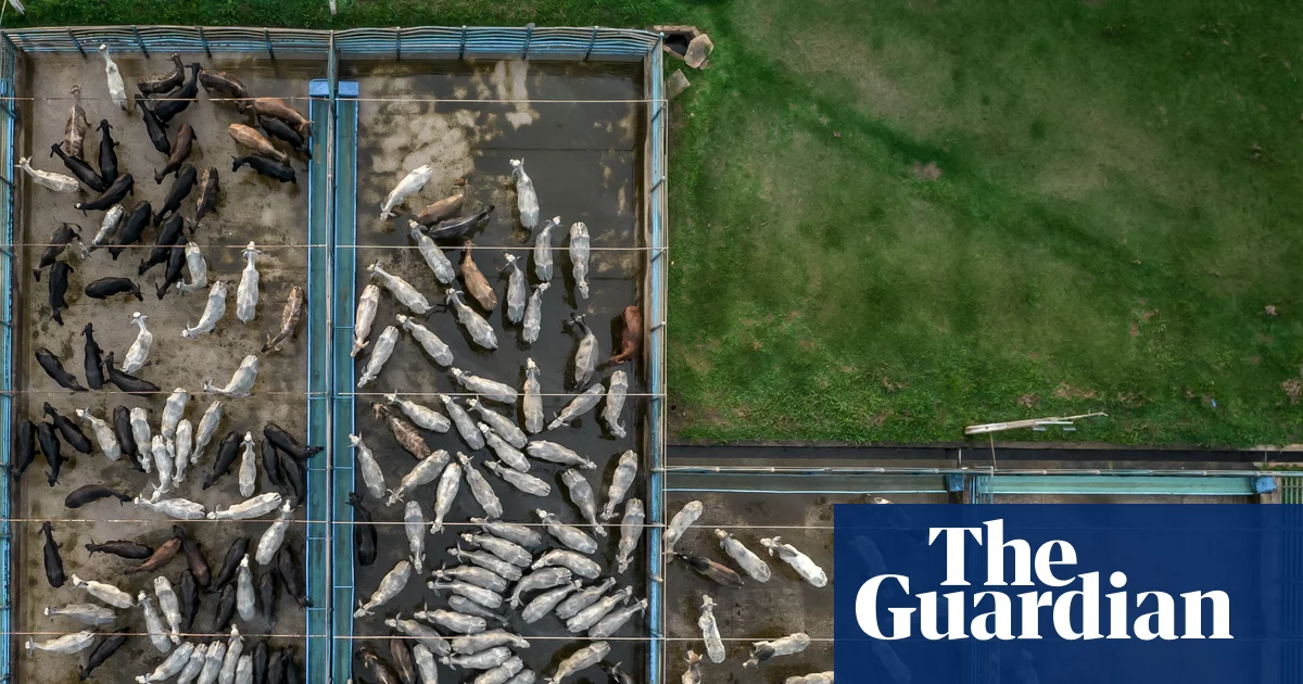 Meat giant JBS faces legal challenge over $6bn expansion plan's green credentials