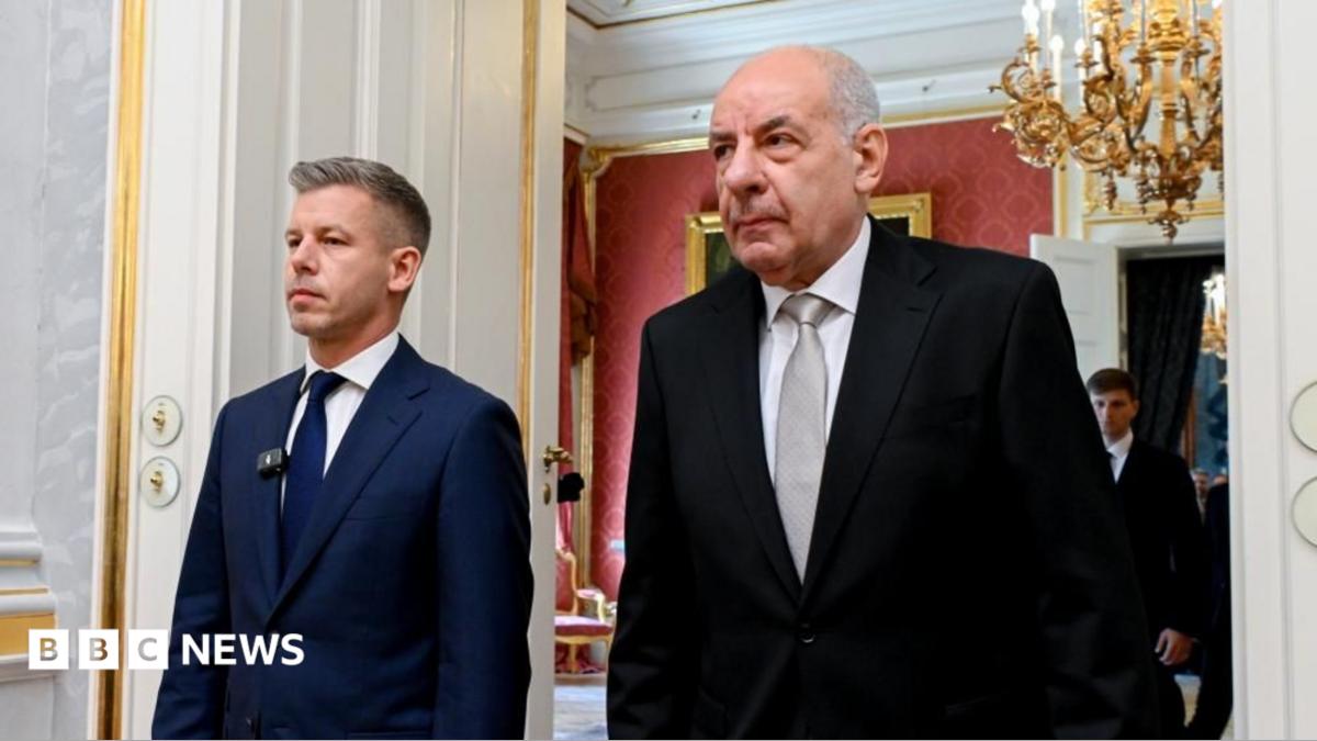 Парламент Венгрии проголосовал за отстранение президента от должности