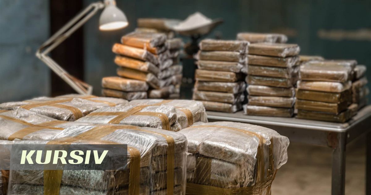 МВД Казахстана изъяло почти тонну наркотиков и прекурсоров за 10 дней