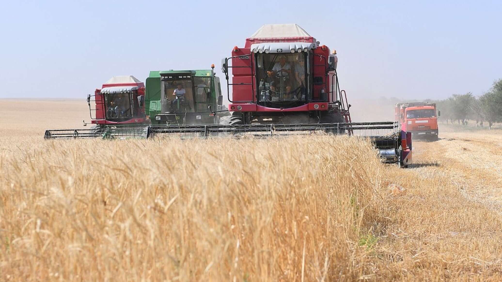 Harvesting campaign begins in regions