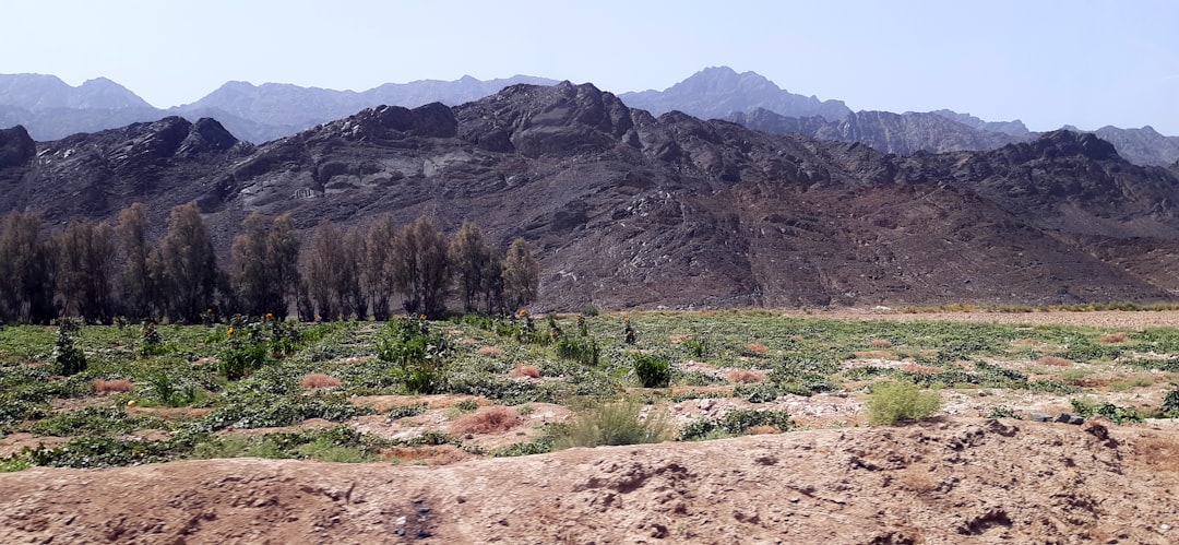 a dirt field with mountains in the background