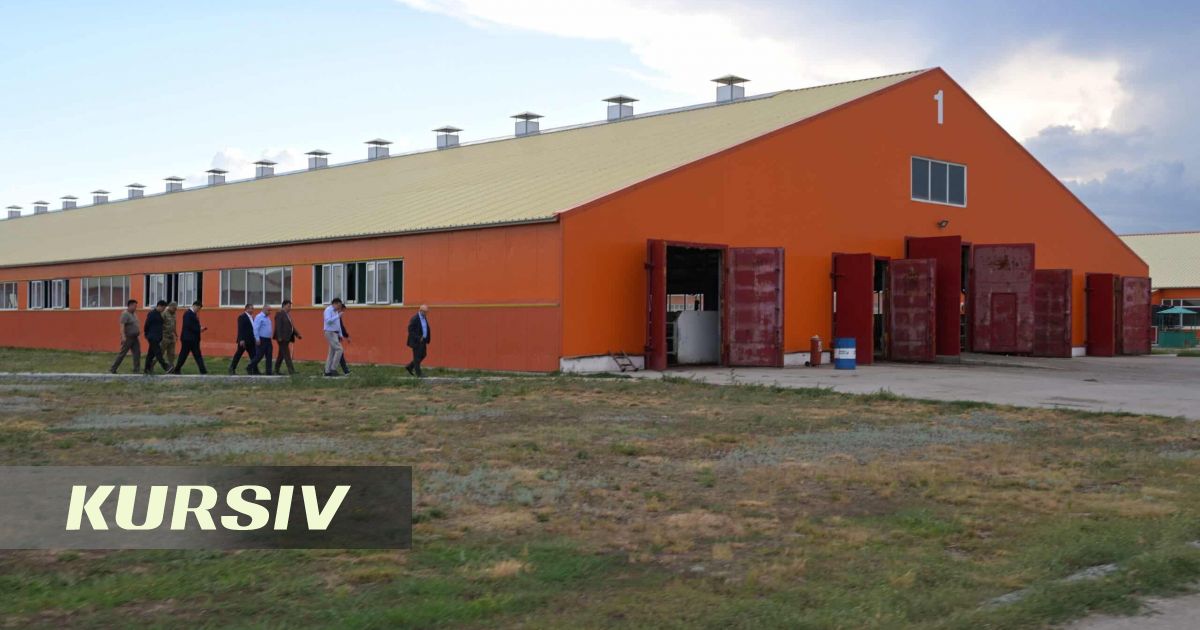 Павлодар облысындағы фермада қаза тапқандардың отбасына көмек көрсетіледі