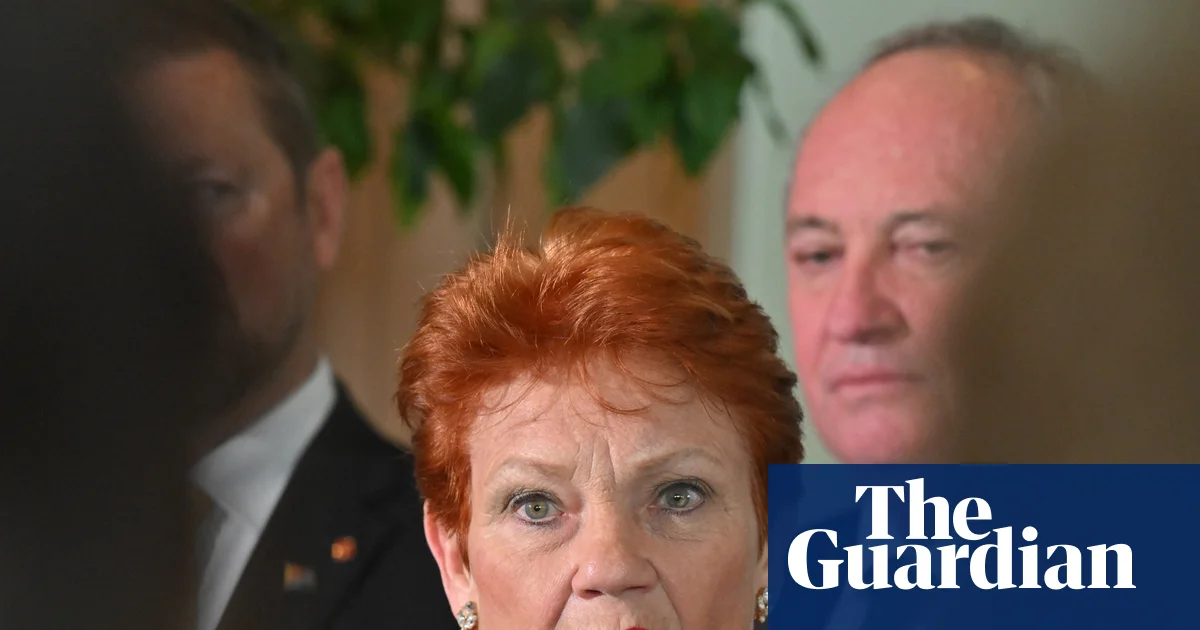 Pauline Hanson blames 'fake news' media for her bad press, but serious leaders must own their actions