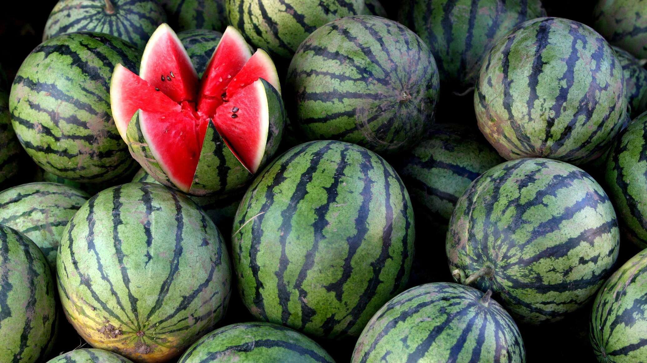When is it safe to eat watermelon – Vice Minister advises
