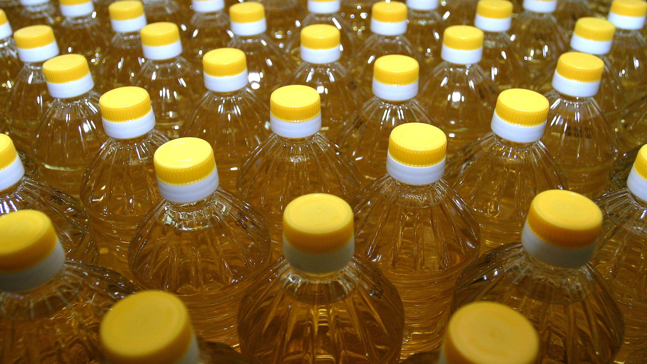 Kazakhstan Leads in Vegetable Oil Supplies to Uzbekistan for Second Consecutive Year