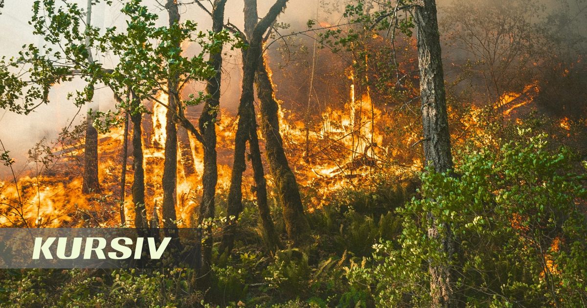 «Казгидромет» объявил о критическом риске пожаров по всей стране