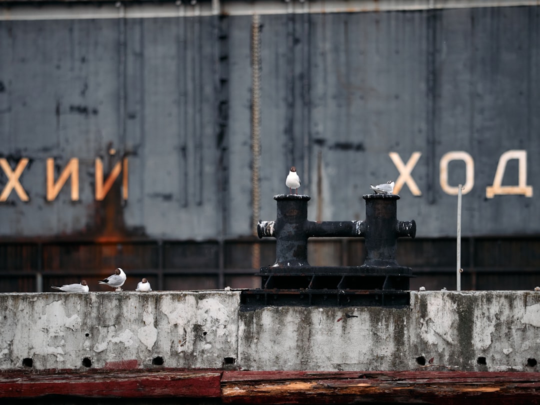 A large cargo ship sitting next to a wall