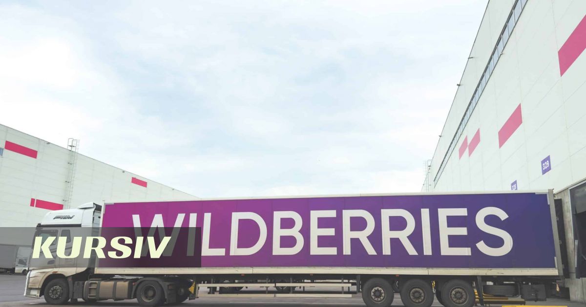 Ресейдегі Wildberries қоймаларына дрон шабуылы: жеті адам қаза тапты