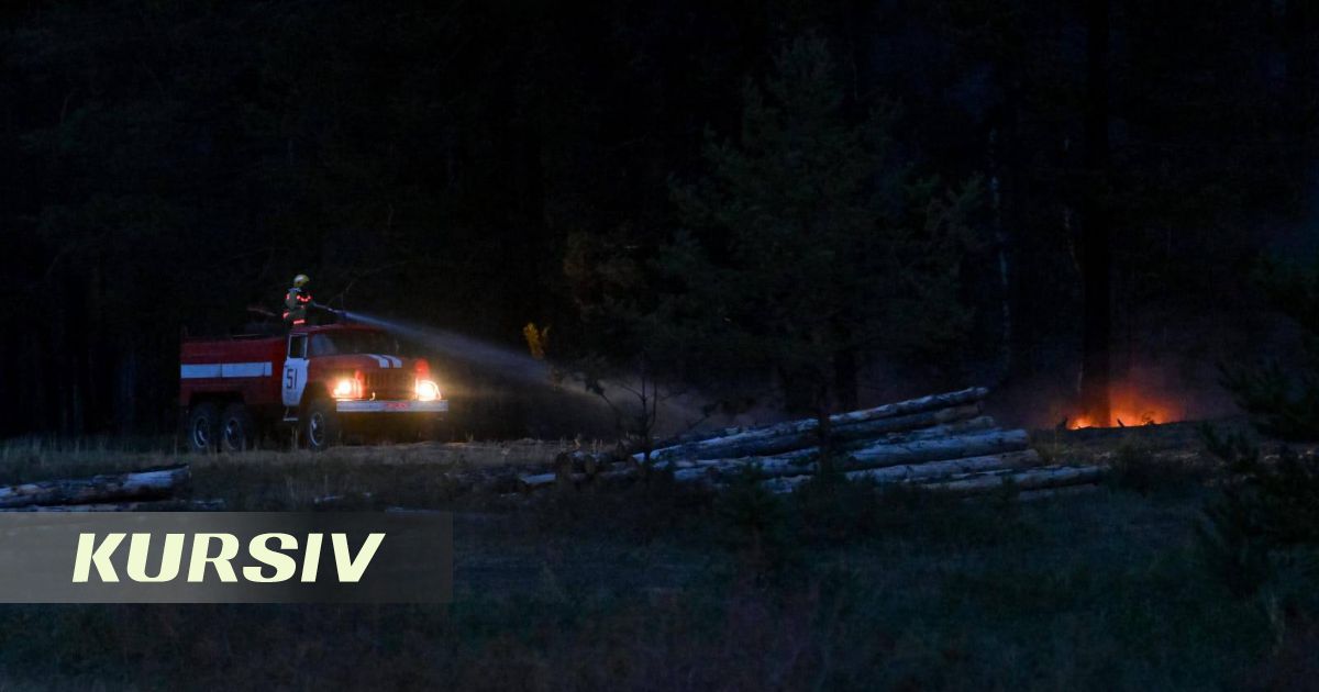 «Семей орманында» өрт сөндіруге үміт: жаңбыр жауды, тікұшақтар тоқтатылды