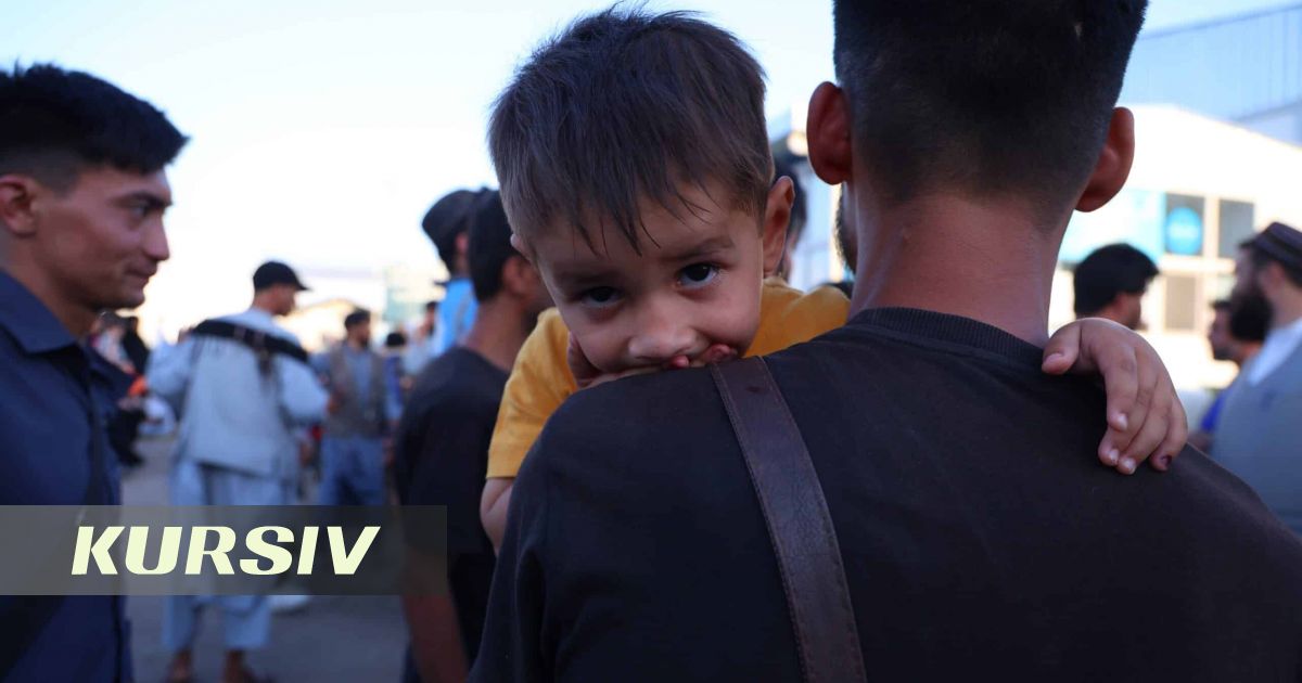 181 people fined in southern Kazakhstan for illegal hiring of migrants