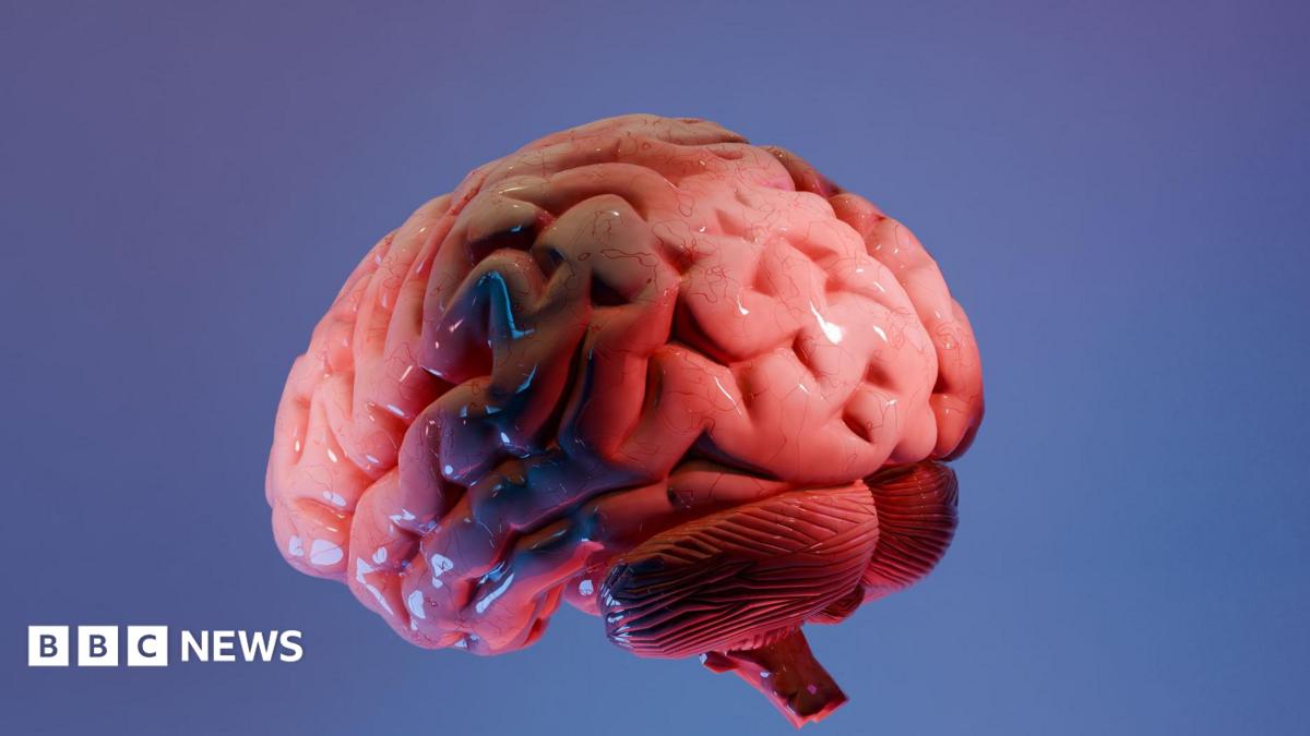 Индийские ученые создали 3D-атлас самой сложной части человеческого мозга