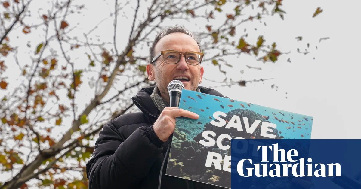 Climate and rock art advocates challenge Woodside's 'carbon bomb' gas project in federal court