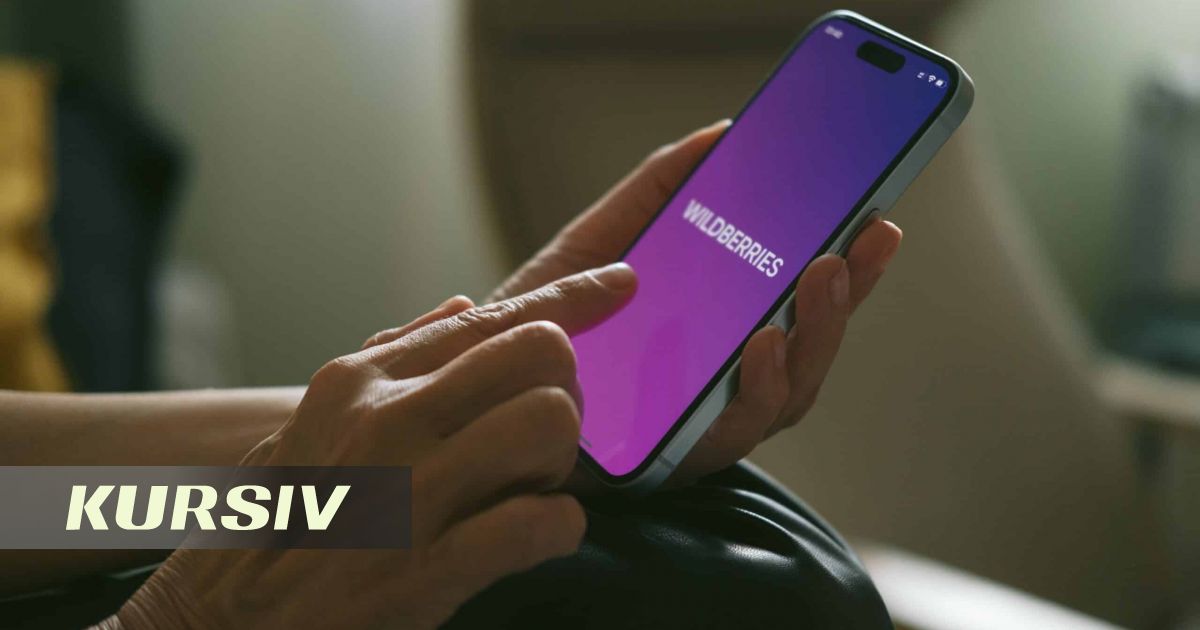 Wildberries шабуылға ұшыраған қоймалардағы тауарларды сатудан уақытша алып тастады