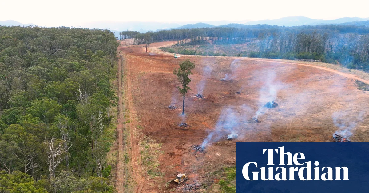 NSW land-clearing up 16% in 2024 as conservation groups slam Minns government