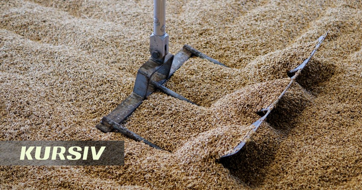Жетісу облысындағы уыт зауыты француздарға 3,2 млрд теңге пайда әкелді