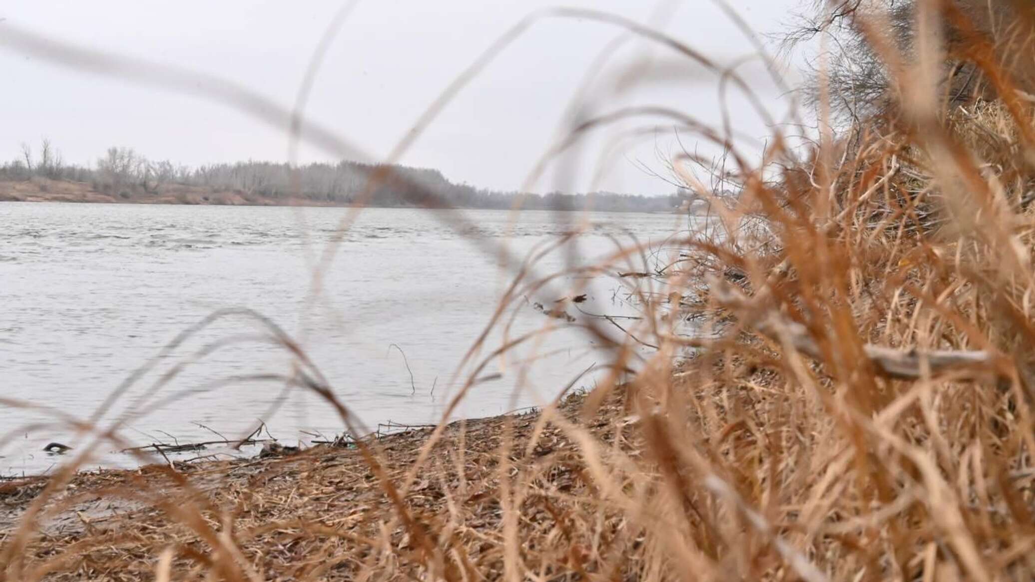 Dirty water flows into Almaty river: inspection results