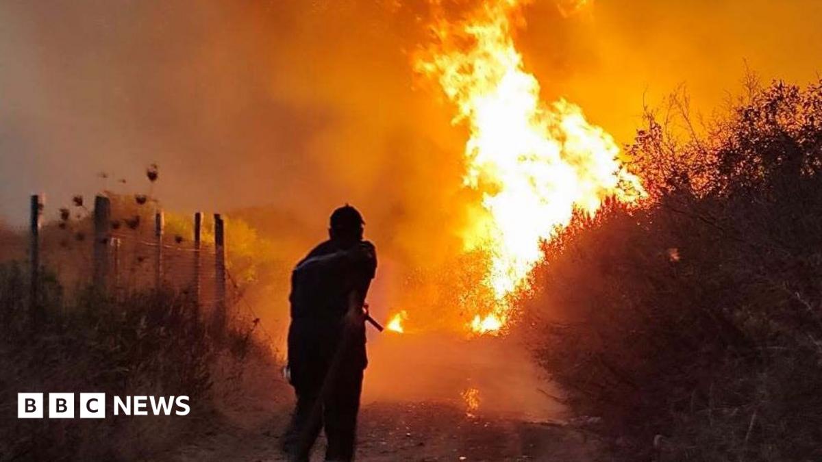 Алжир президенті өрт қоюшыларға өлім жазасын қайтаруды талап етті