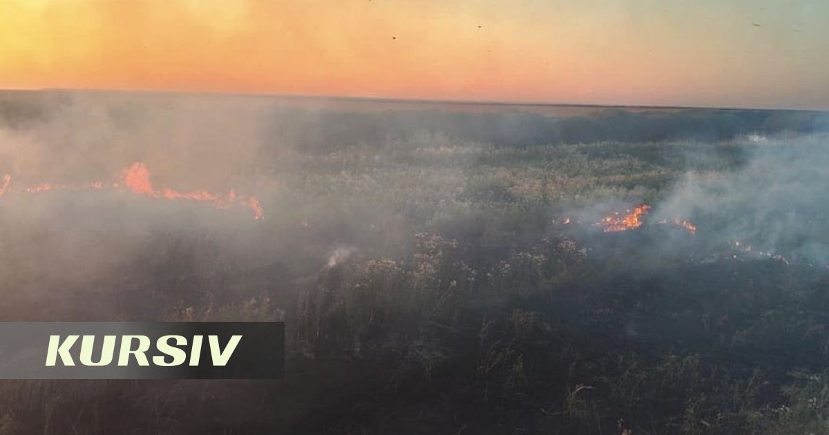 Ақмола облысында тоғыз дала өрті сөндірілді