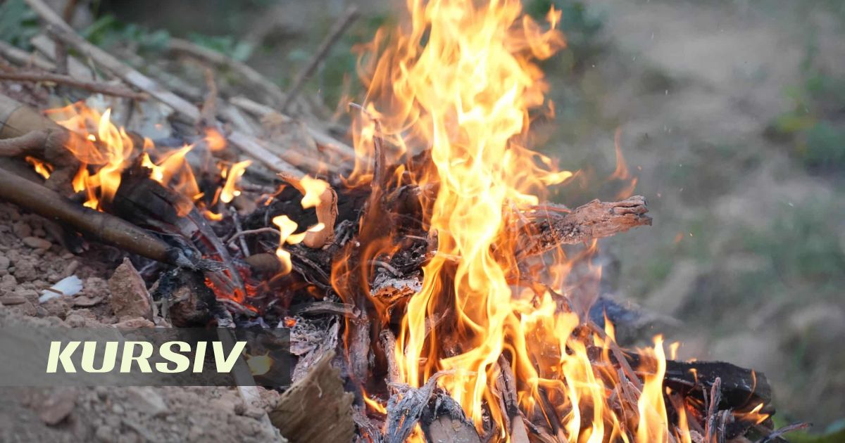 Three forest fires extinguished in Akmola region