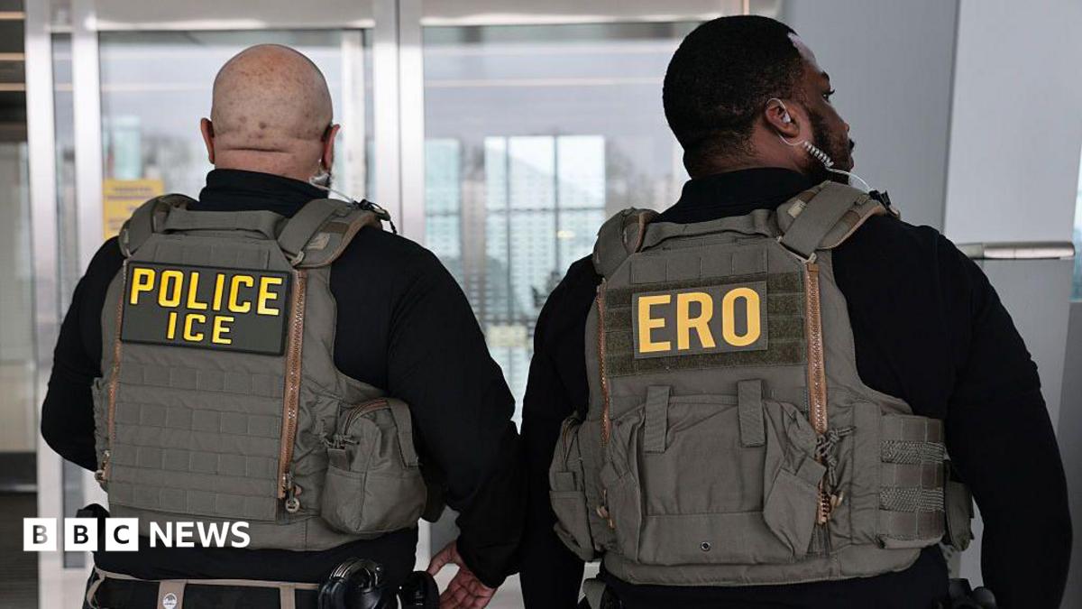 US immigration officers may get electric shock gloves