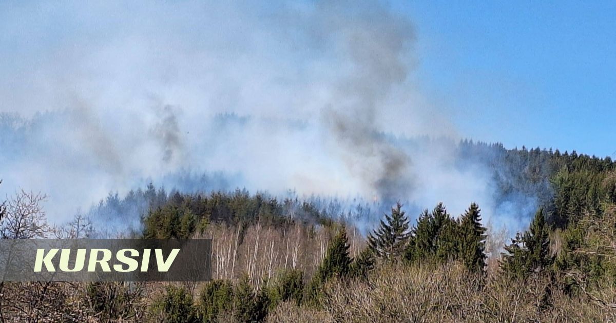 Бельгия тарихындағы ең ірі өрт Германия шекарасына жетті