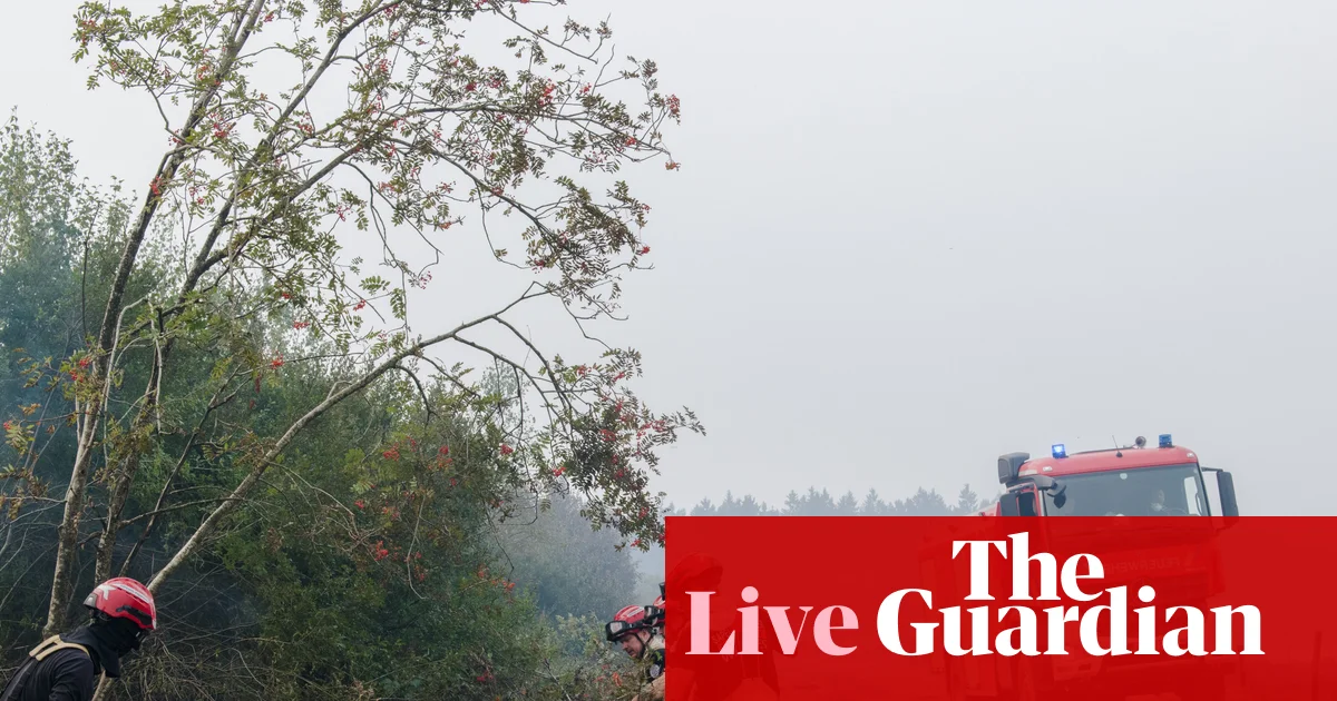 Belgium's largest wildfire: King Philippe to visit affected area