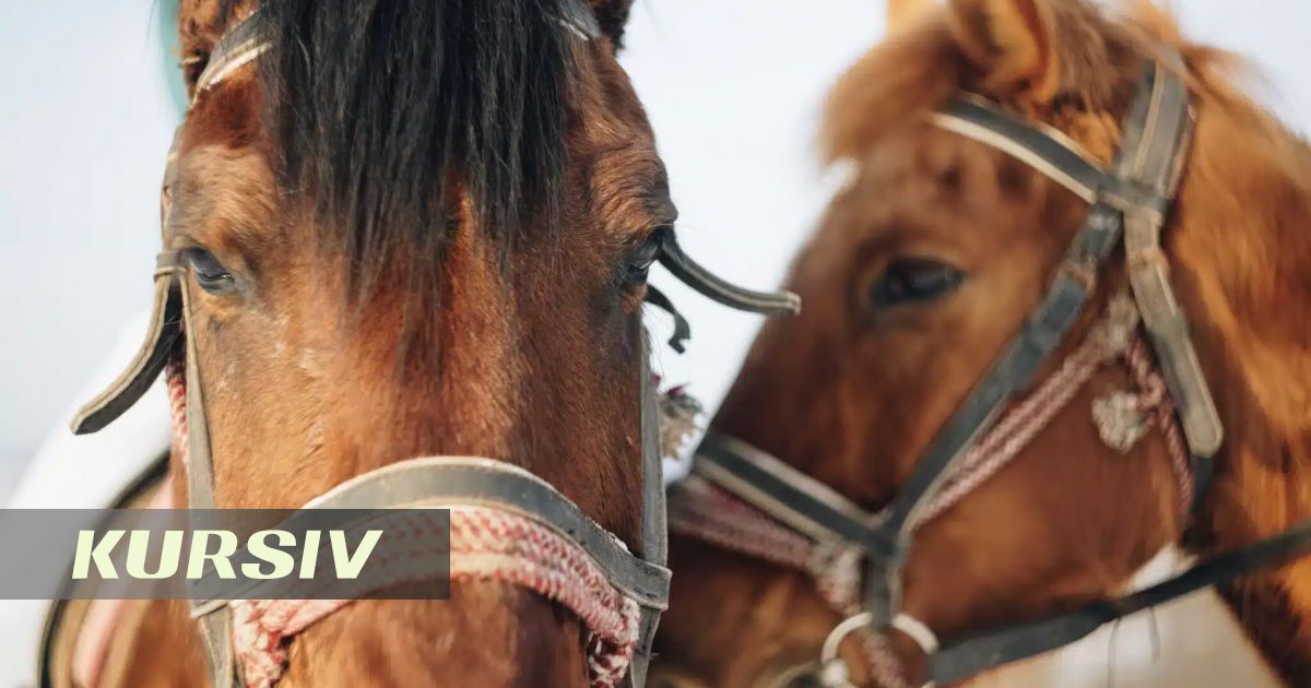 Drone Helps Police Find 12 Missing Horses in East Kazakhstan